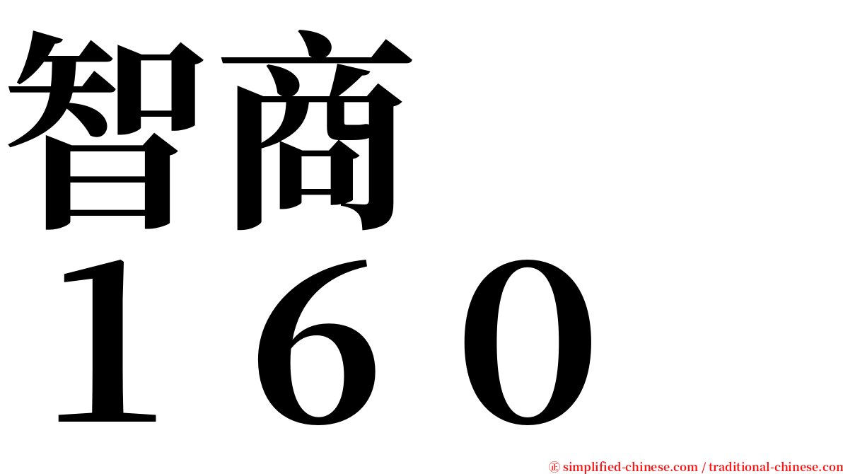 智商　　１６０ serif font